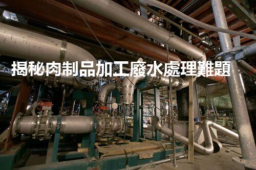 揭秘肉制品加工廢水處理難題！高效低耗的秘訣究竟是什么？